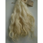 Light Blonde Grey Faced Dartmoor, rare breed sheep (v)