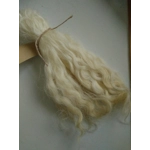 Light Blonde Grey Faced Dartmoor, rare breed sheep (v)