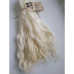 Light Blonde Grey Faced Dartmoor, rare breed sheep (v)