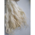 Light Blonde Grey Faced Dartmoor, rare breed sheep (v)