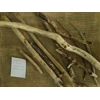 Driftwood / Drift Wood Bundle 1 Driftwood / Drift Wood Bundle 1