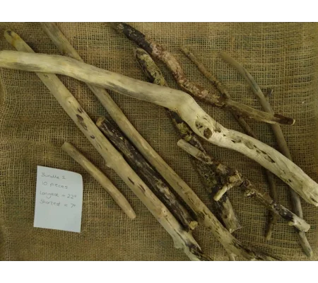 Driftwood / Drift Wood Bundle 1