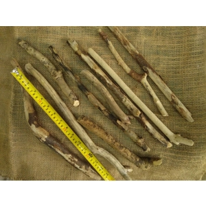 Driftwood / Drift Wood Bundle 2