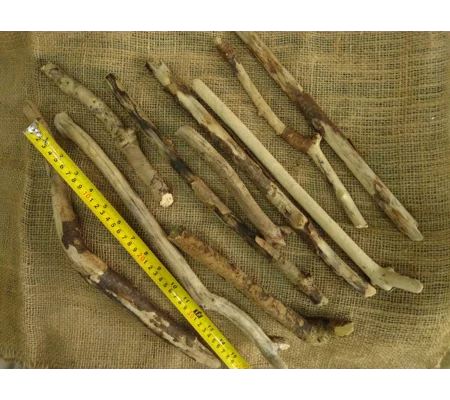 Driftwood / Drift Wood Bundle 2