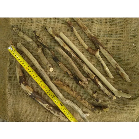 Driftwood / Drift Wood Bundle 2