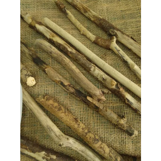 Driftwood / Drift Wood Bundle 2