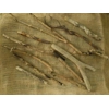 Driftwood / Drift Wood Bundle 3 Driftwood / Drift Wood Bundle 3