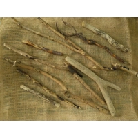 Driftwood / Drift Wood Bundle 3