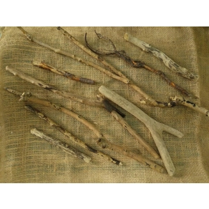 Driftwood / Drift Wood Bundle 3