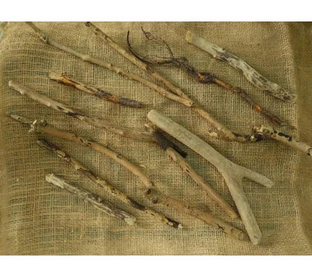 Driftwood / Drift Wood Bundle 3