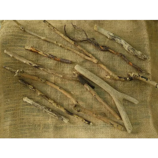Driftwood / Drift Wood Bundle 3