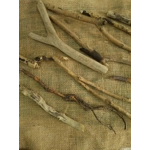 Driftwood / Drift Wood Bundle 3 Driftwood / Drift Wood Bundle 3