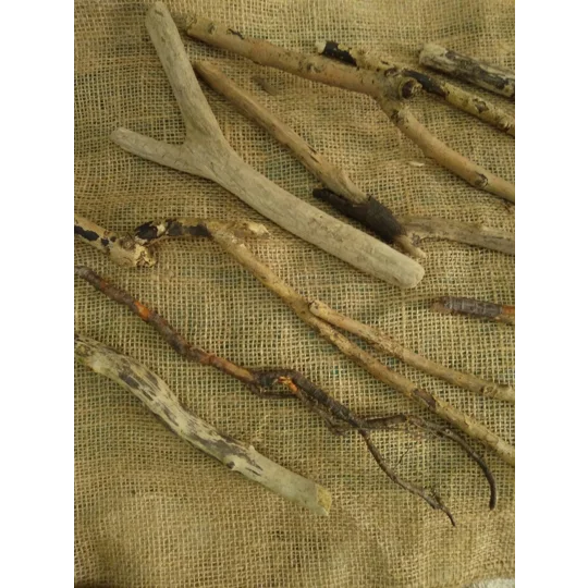 Driftwood / Drift Wood Bundle 3
