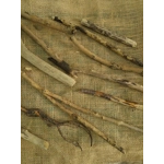 Driftwood / Drift Wood Bundle 3 Driftwood / Drift Wood Bundle 3