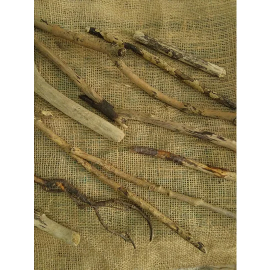 Driftwood / Drift Wood Bundle 3