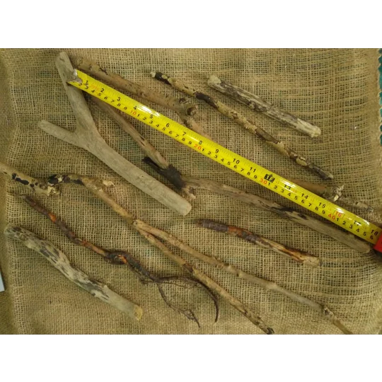 Driftwood / Drift Wood Bundle 3