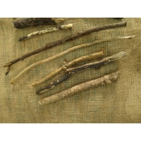 Driftwood / Drift Wood Bundle 5
