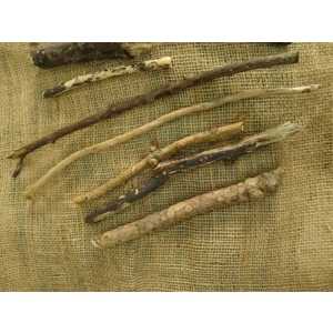 Driftwood / Drift Wood Bundle 5