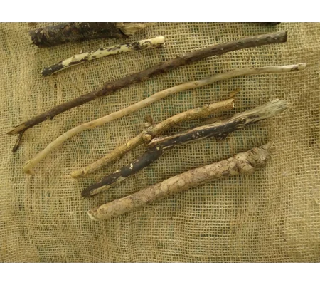 Driftwood / Drift Wood Bundle 5