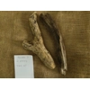 Driftwood / Drift wood Bundle 7 Driftwood / Drift wood Bundle 7
