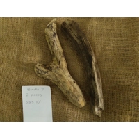 Driftwood / Drift wood Bundle 7