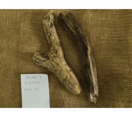 Driftwood / Drift wood Bundle 7
