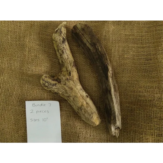 Driftwood / Drift wood Bundle 7