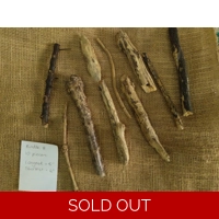 Driftwood / Drift Wood Bundle 8