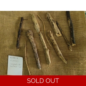 Driftwood / Drift Wood Bundle 8