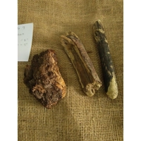 Driftwood / Drift Wood Bundle 9