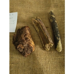 Driftwood / Drift Wood Bundle 9