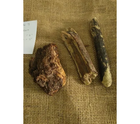 Driftwood / Drift Wood Bundle 9
