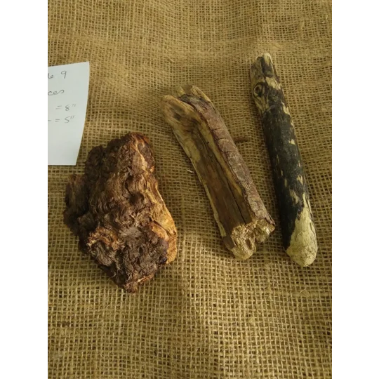 Driftwood / Drift Wood Bundle 9
