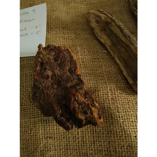 Driftwood / Drift Wood Bundle 9