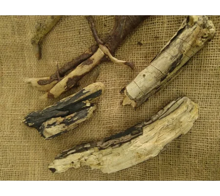 Driftwood / Drift Wood Bundle 12