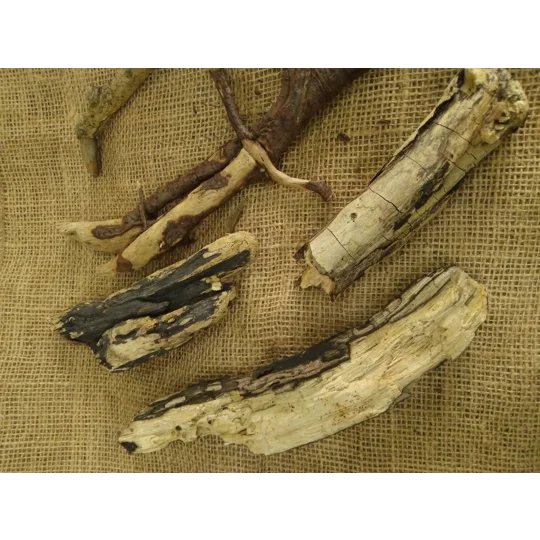 Driftwood / Drift Wood Bundle 12