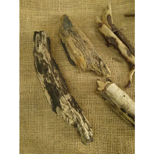 Driftwood / Drift Wood Bundle 12