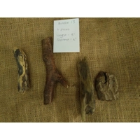 Driftwood Bundle 13