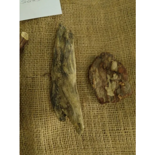Driftwood Bundle 13