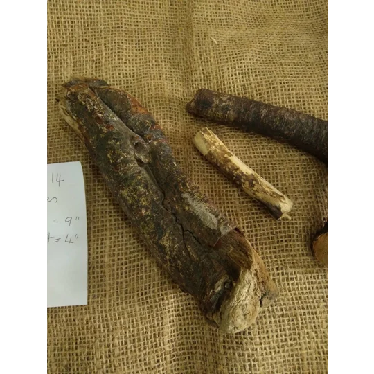 Driftwood / Drift Wood Bundle 14