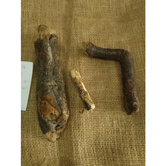 Driftwood / Drift Wood Bundle 14