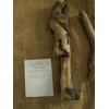 Driftwood / Drift Wood Bundle 17 Driftwood / Drift Wood Bundle 17