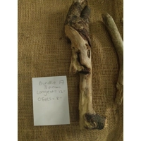 Driftwood / Drift Wood Bundle 17