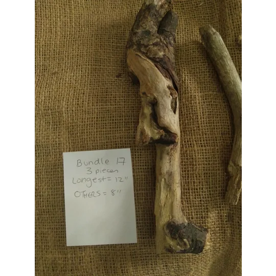 Driftwood / Drift Wood Bundle 17