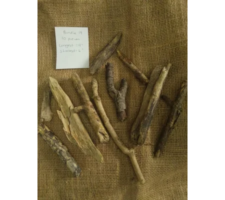 Driftwood / Drift Wood Bundle 19