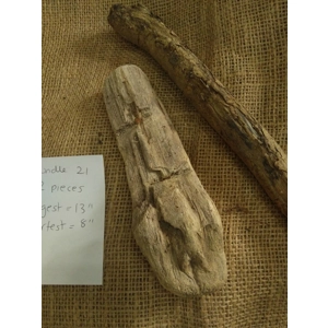 Driftwood / Driftwood Bundle 21