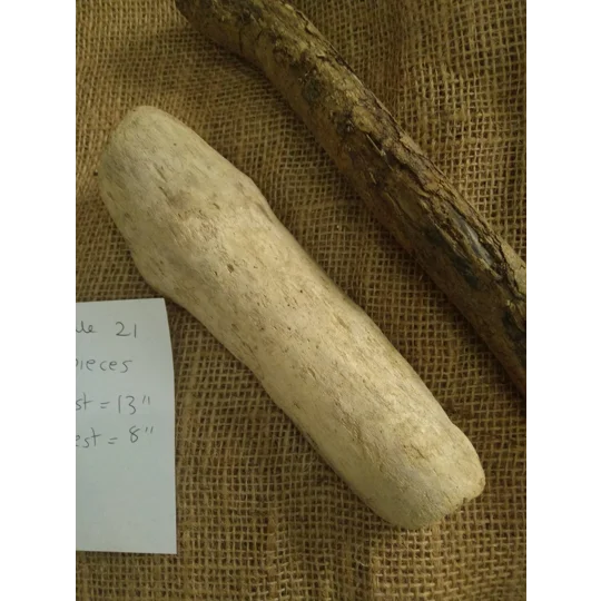 Driftwood / Driftwood Bundle 21