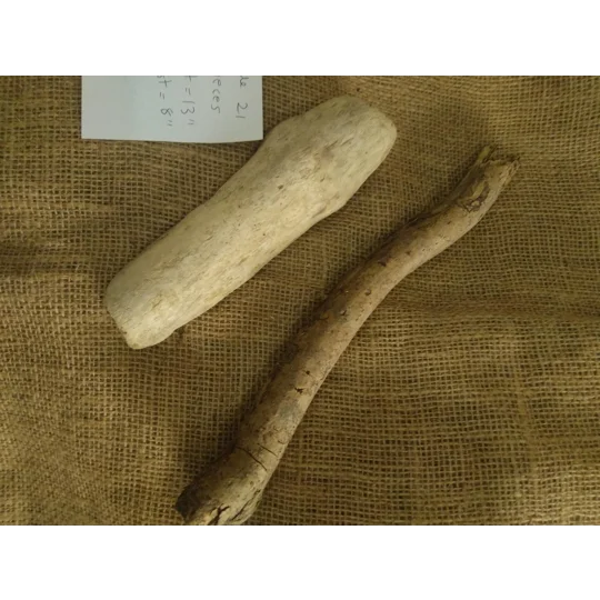 Driftwood / Driftwood Bundle 21