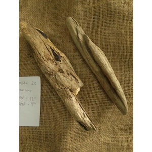 Driftwood / Drift Wood Bundle 22