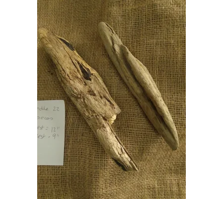 Driftwood / Drift Wood Bundle 22